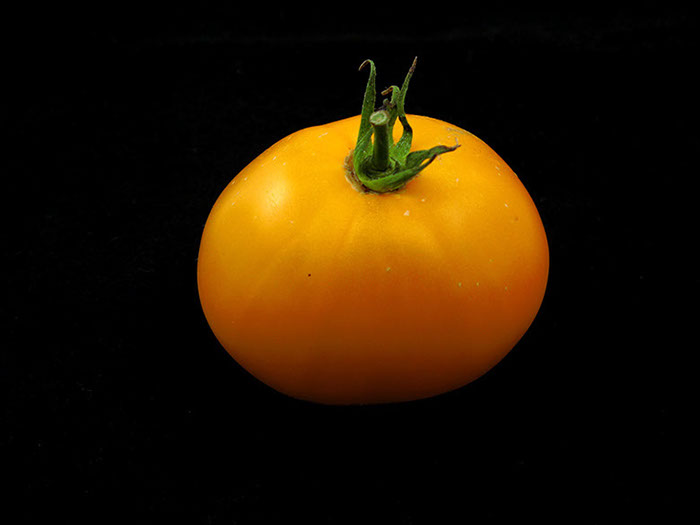 %_tempFileNameIMG_0629s%