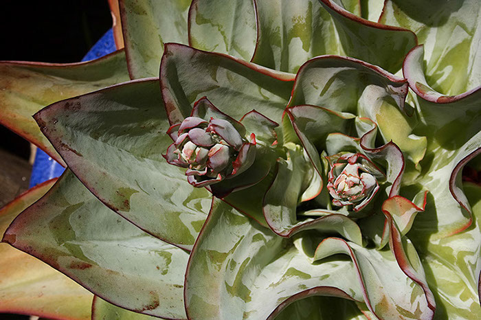 %_tempFileNameIMG_1260%