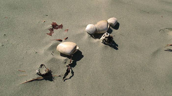 %_tempFileNameIMG_2753%