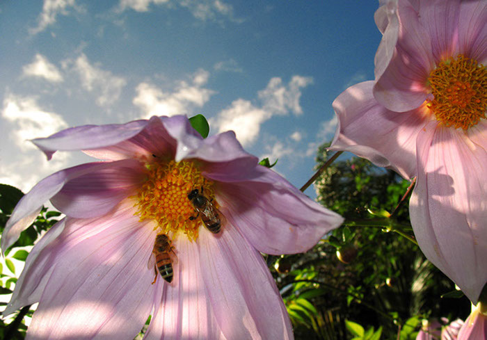 %_tempFileNameIMG_3361%