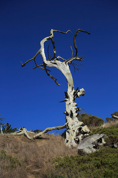 %_tempFileName_MG_1168m2%